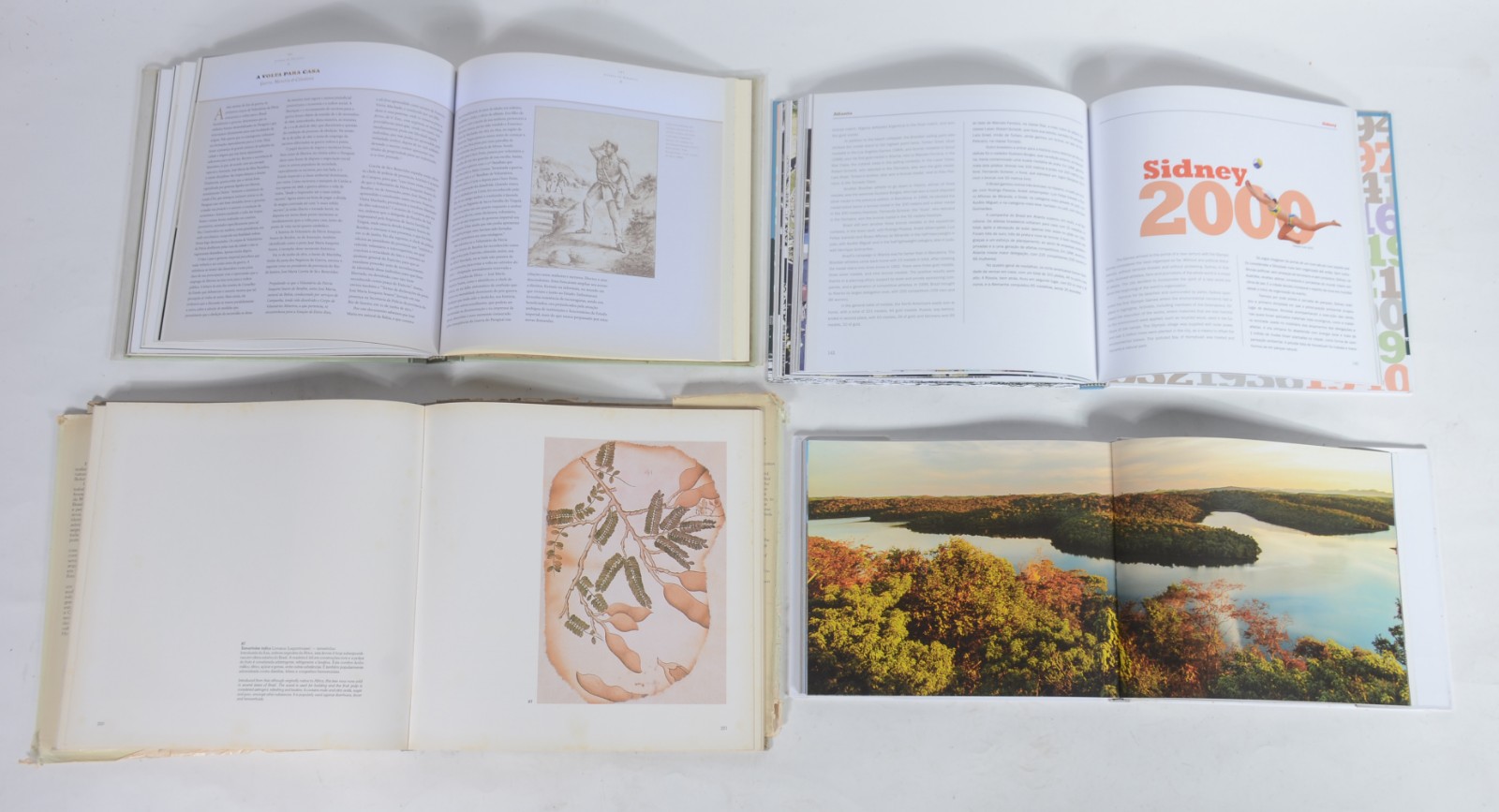 Quatro livros: A) Guerra do Paraguai - Ricardo Salles B) Fauna e... - foto 4 de 6