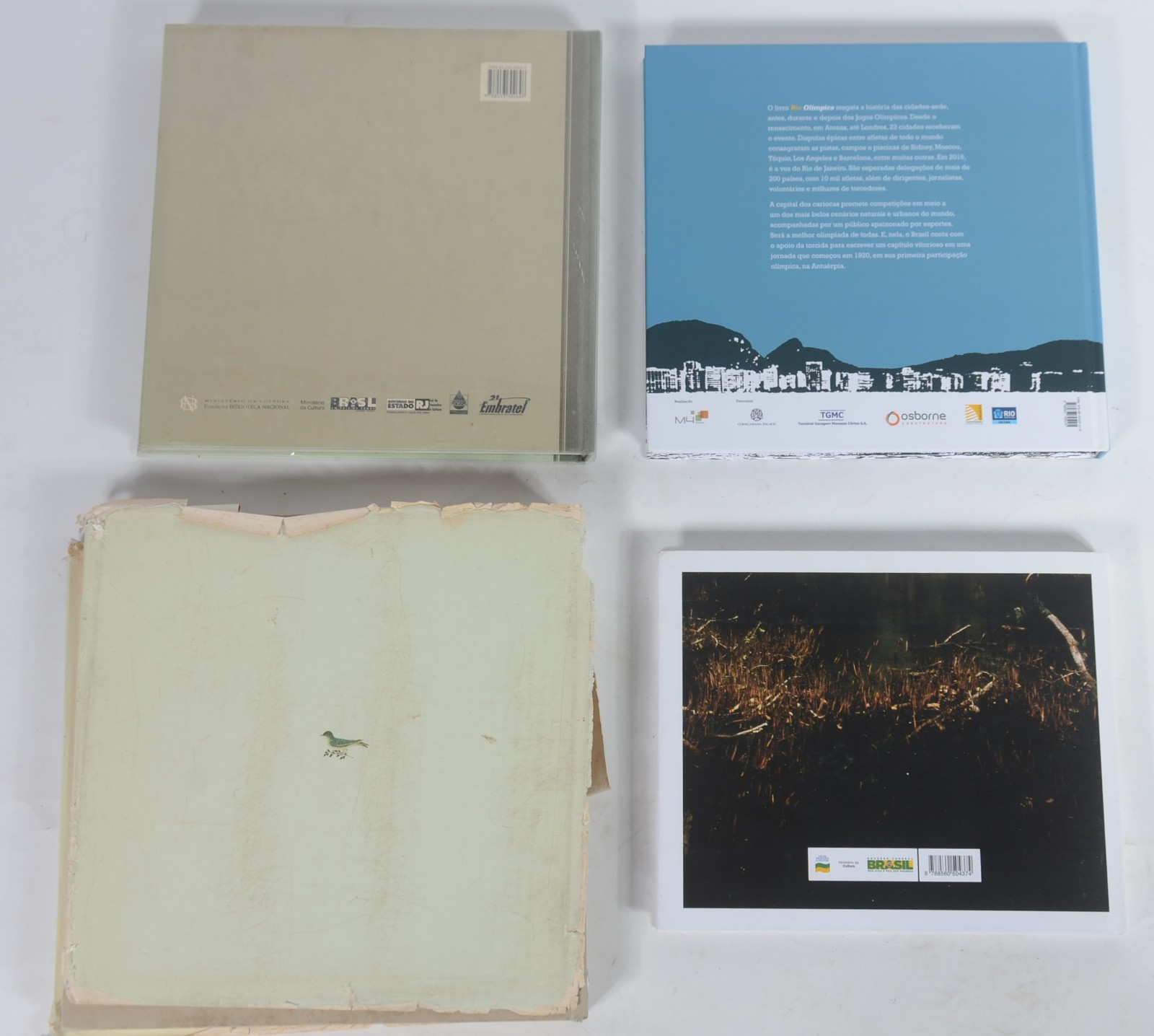 Quatro livros: A) Guerra do Paraguai - Ricardo Salles B) Fauna e... - foto 6 de 6