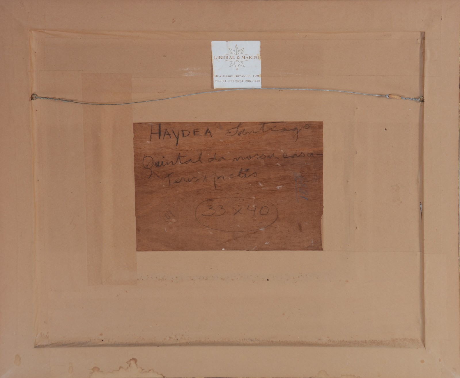 Haydéa Santiago (1896-1980), Quintal de Casa - foto 4 de 5
