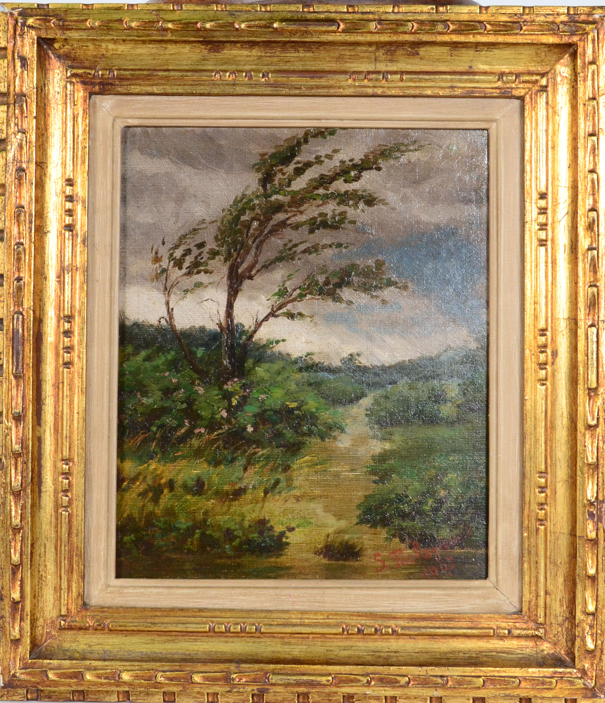Paisagem - foto 1 de 3