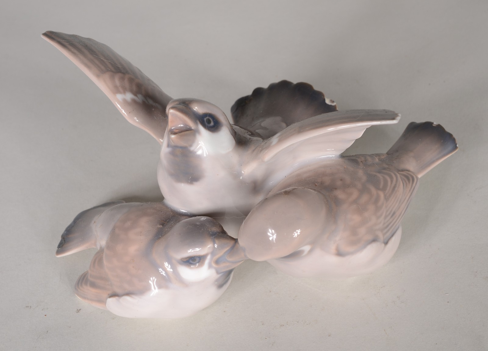 Sete pássaros diversos de porcelana europeia policromada de diversas... - foto 2 de 9