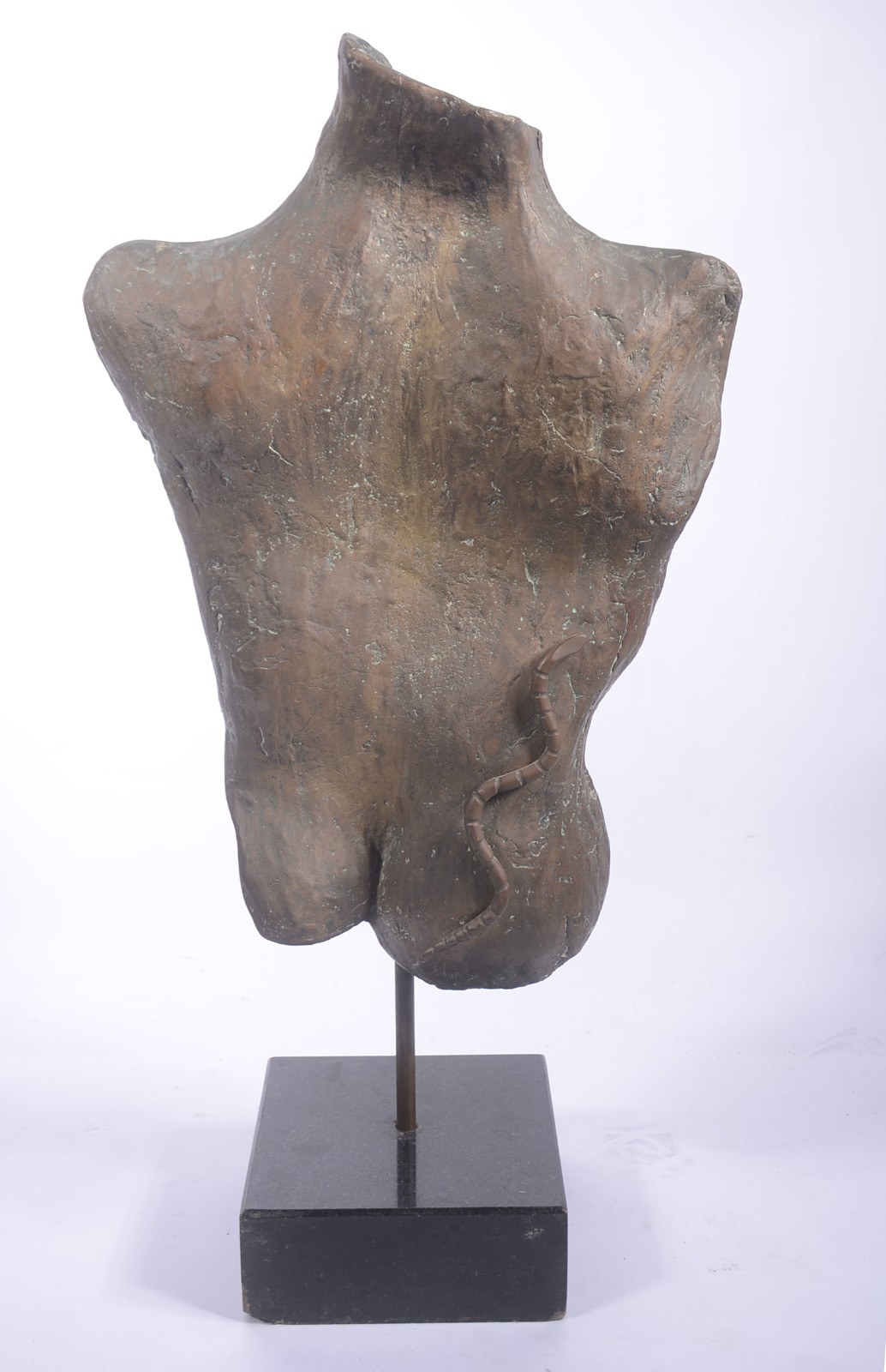 Torso e cobra - foto 1 de 7