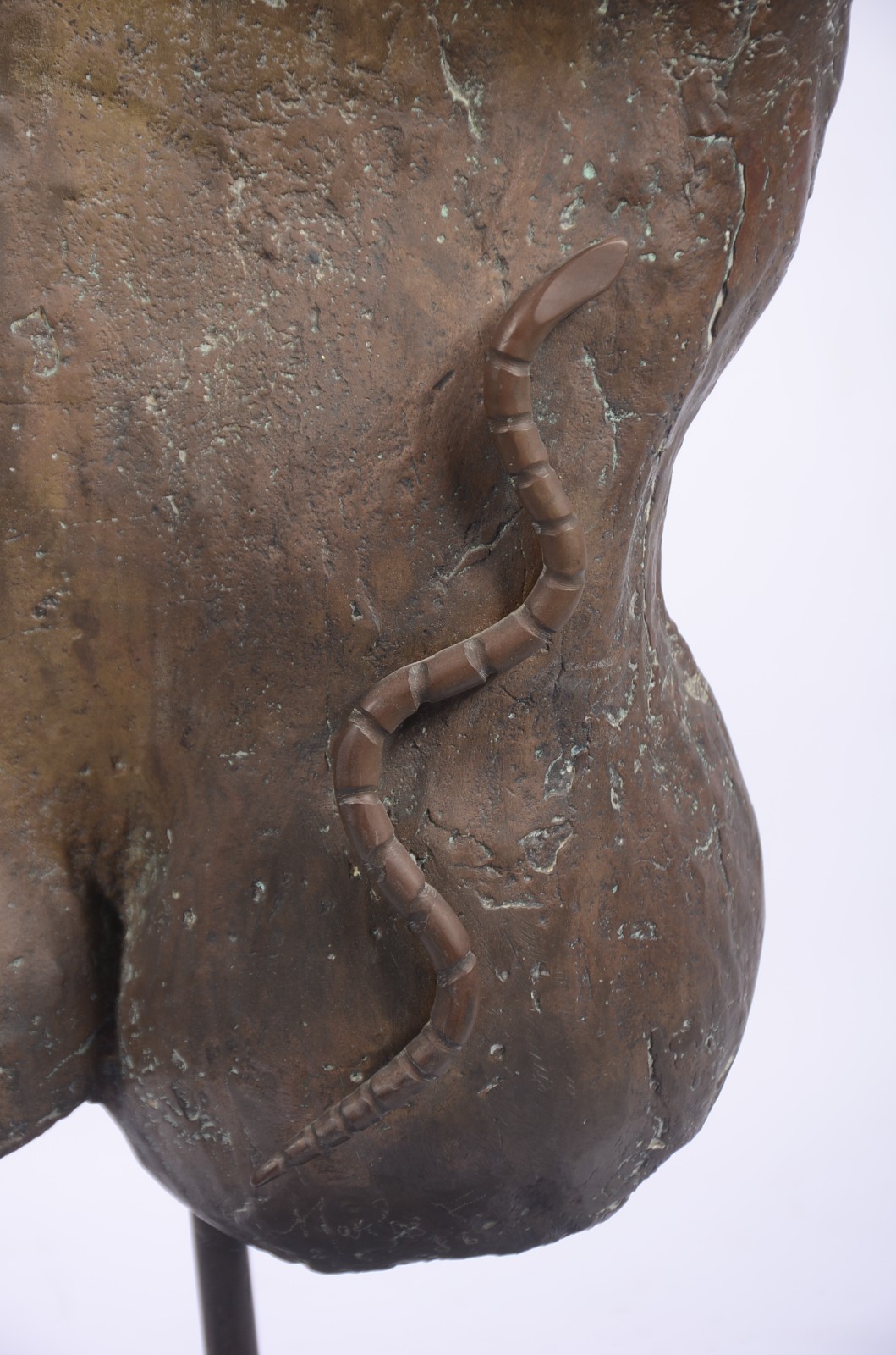 Torso e cobra - foto 2 de 7