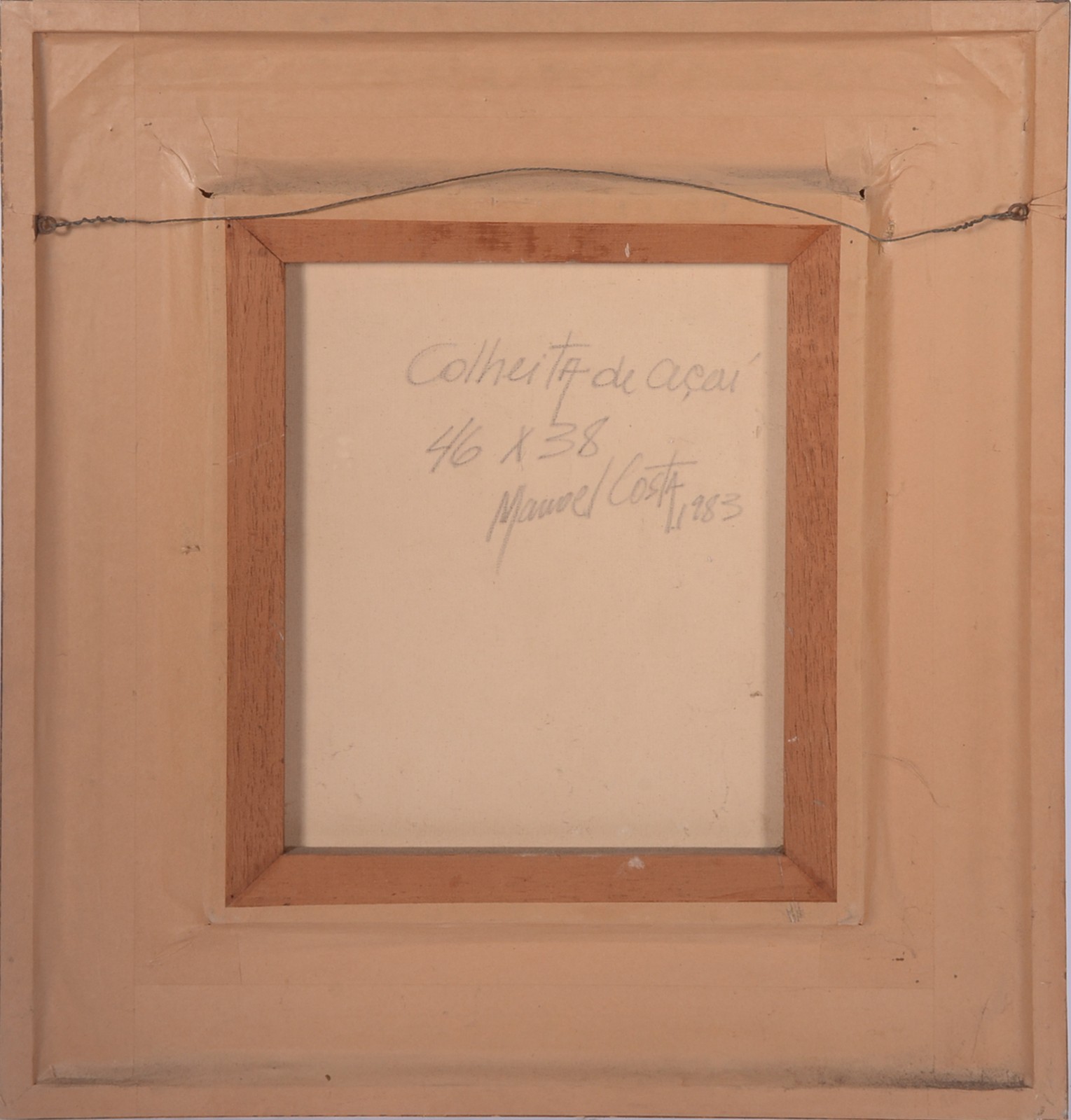 Manoel Costa (1943), Colheita de Açaí - foto 4 de 5