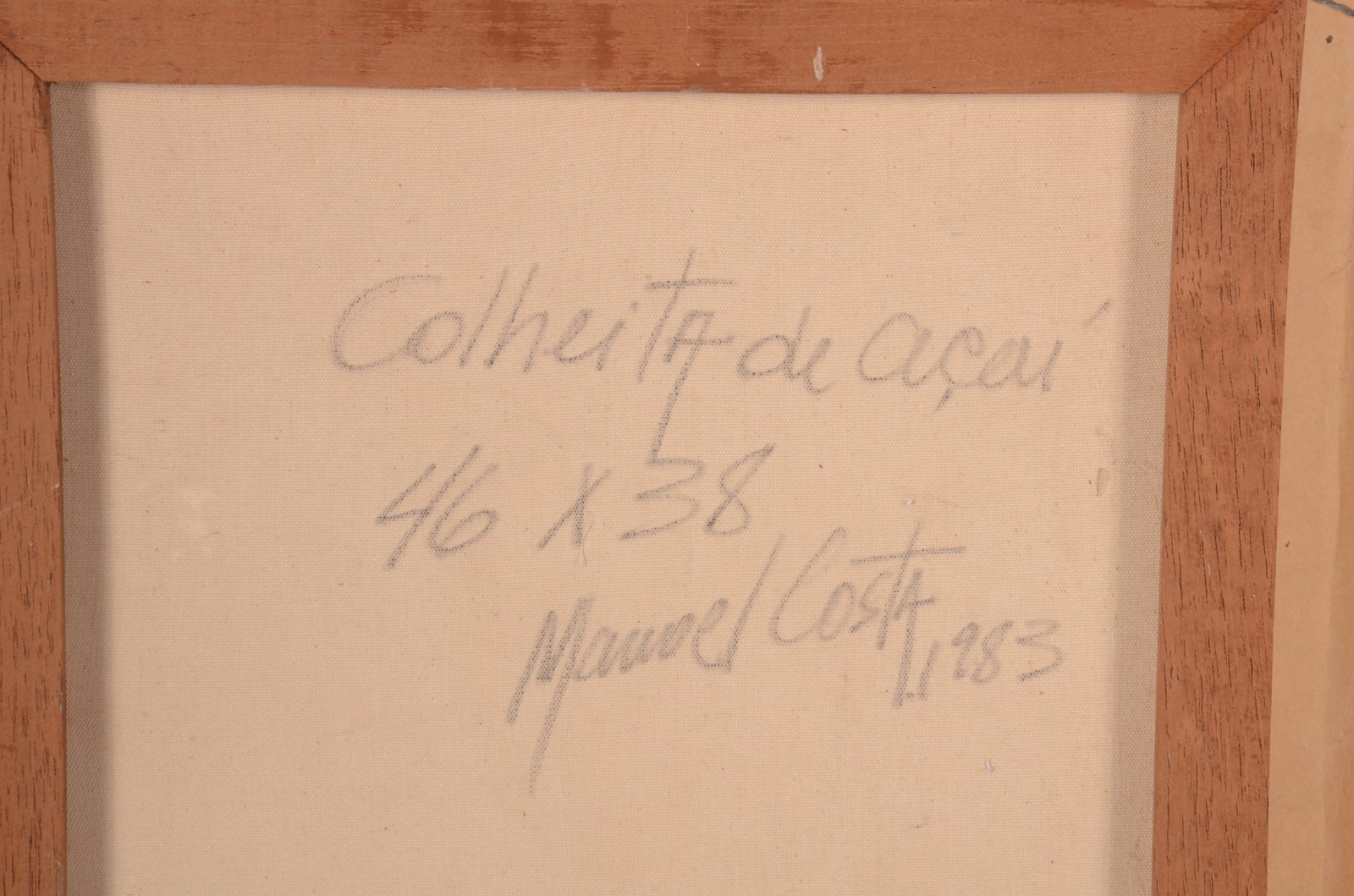 Manoel Costa (1943), Colheita de Açaí - foto 5 de 5
