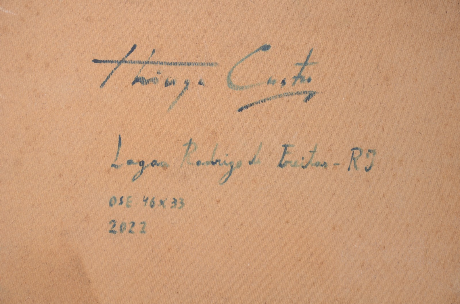 Thiago Castro (1984), Lago Rodrigues de Freitas - foto 5 de 5