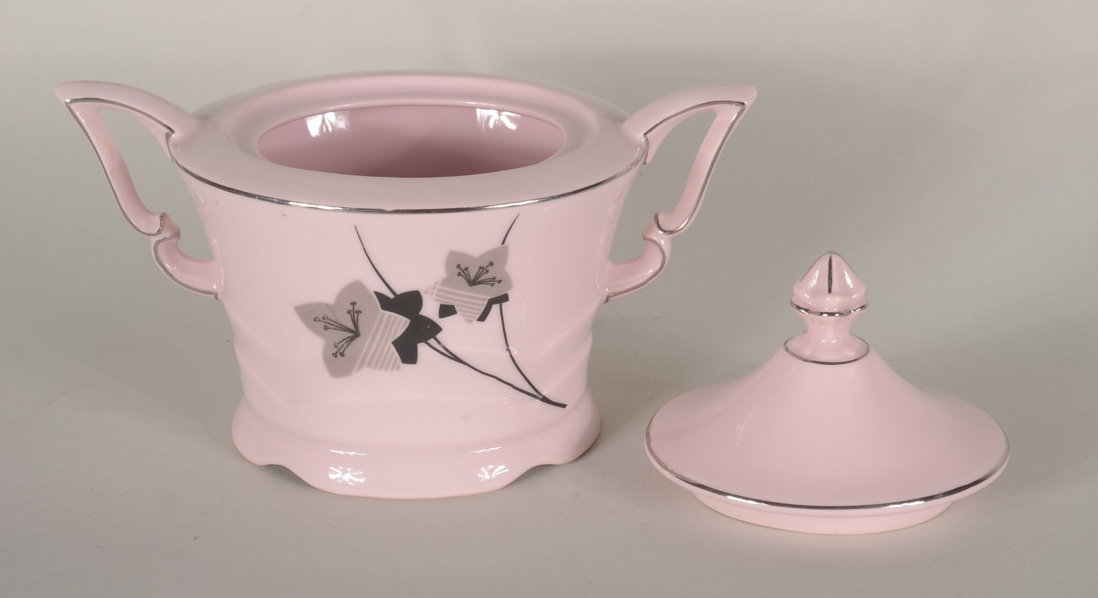 Serviço de chá de porcelana tcheca Epiag na cor rosa com ramos... - foto 4 de 11