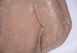 Placa de terracota com figura masculina em relevo. - Placa de terracota com figura masculina em relevo.