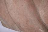 Placa de terracota com figura masculina em relevo. - Placa de terracota com figura masculina em relevo.