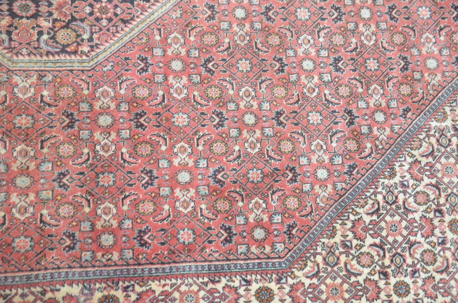 Tapete Bidjar (1801) - foto 4 de 7