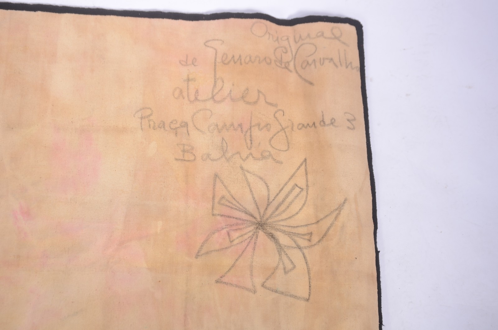 Genaro de Carvalho (1926-1971), Borboleta e folhagens - foto 10 de 10