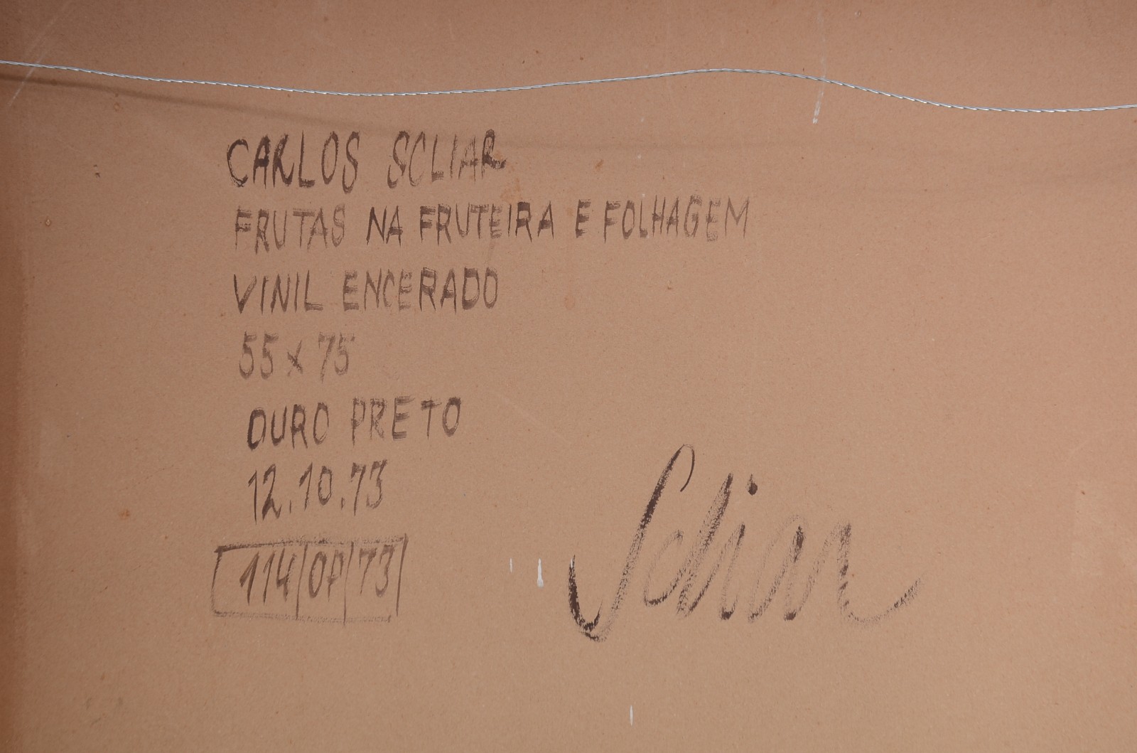 Carlos Scliar (1920-2001), Frutas na Fruteira e Folhagem - foto 5 de 5