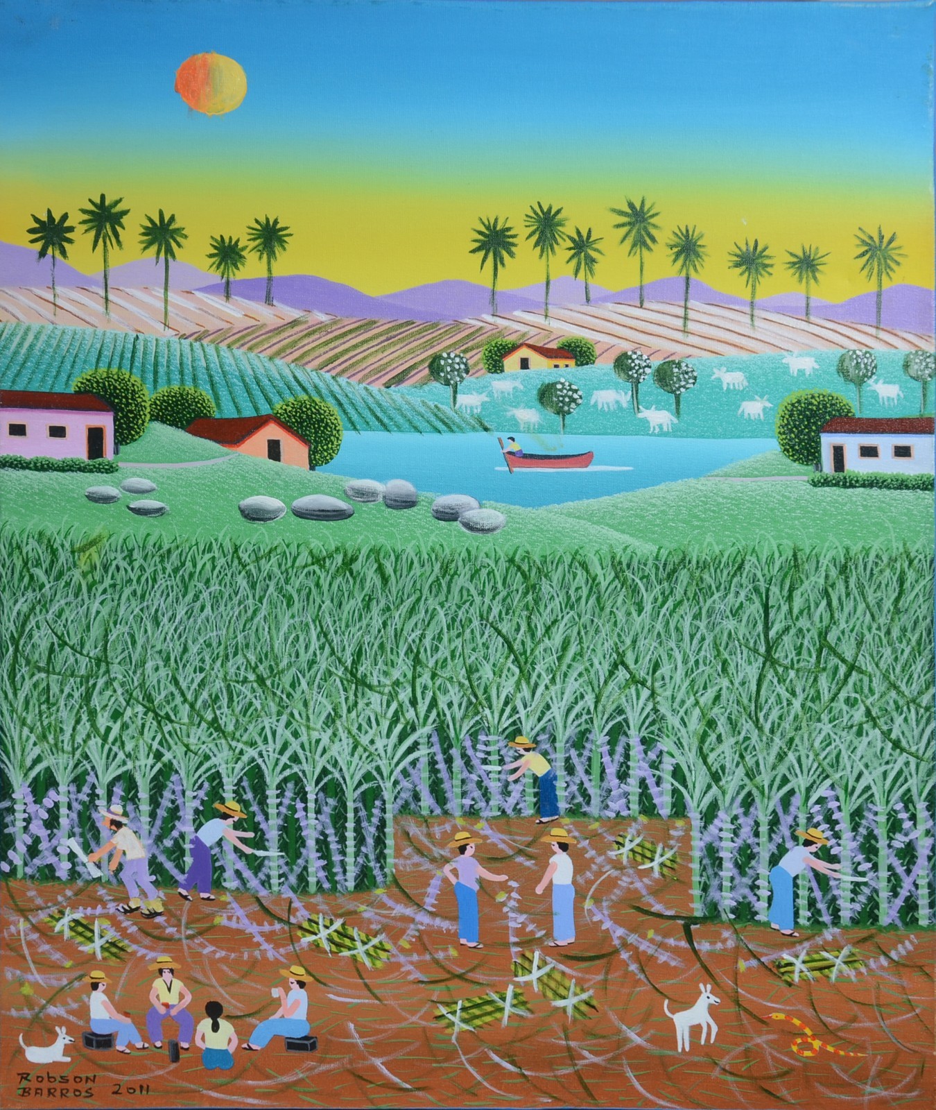 Plantação de Cana - foto 1 de 4