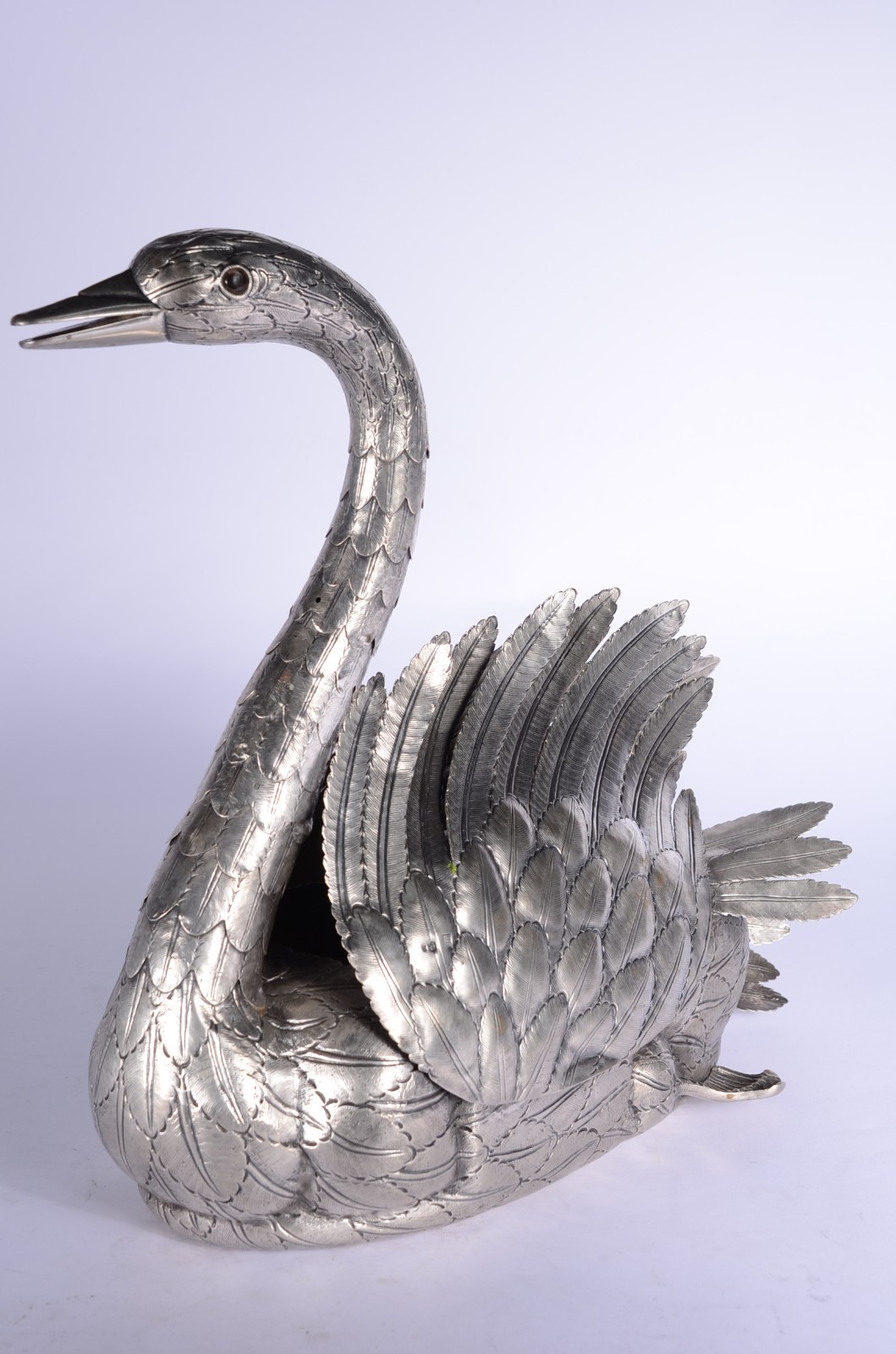Cisne - foto 1 de 9