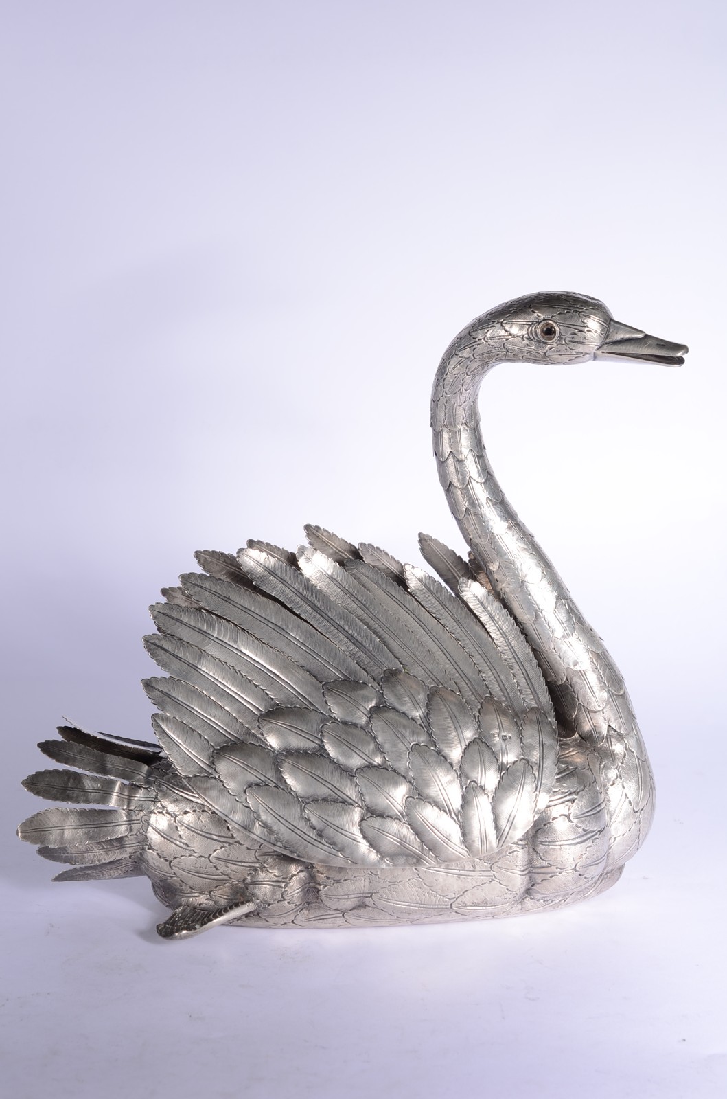 Cisne - foto 2 de 9