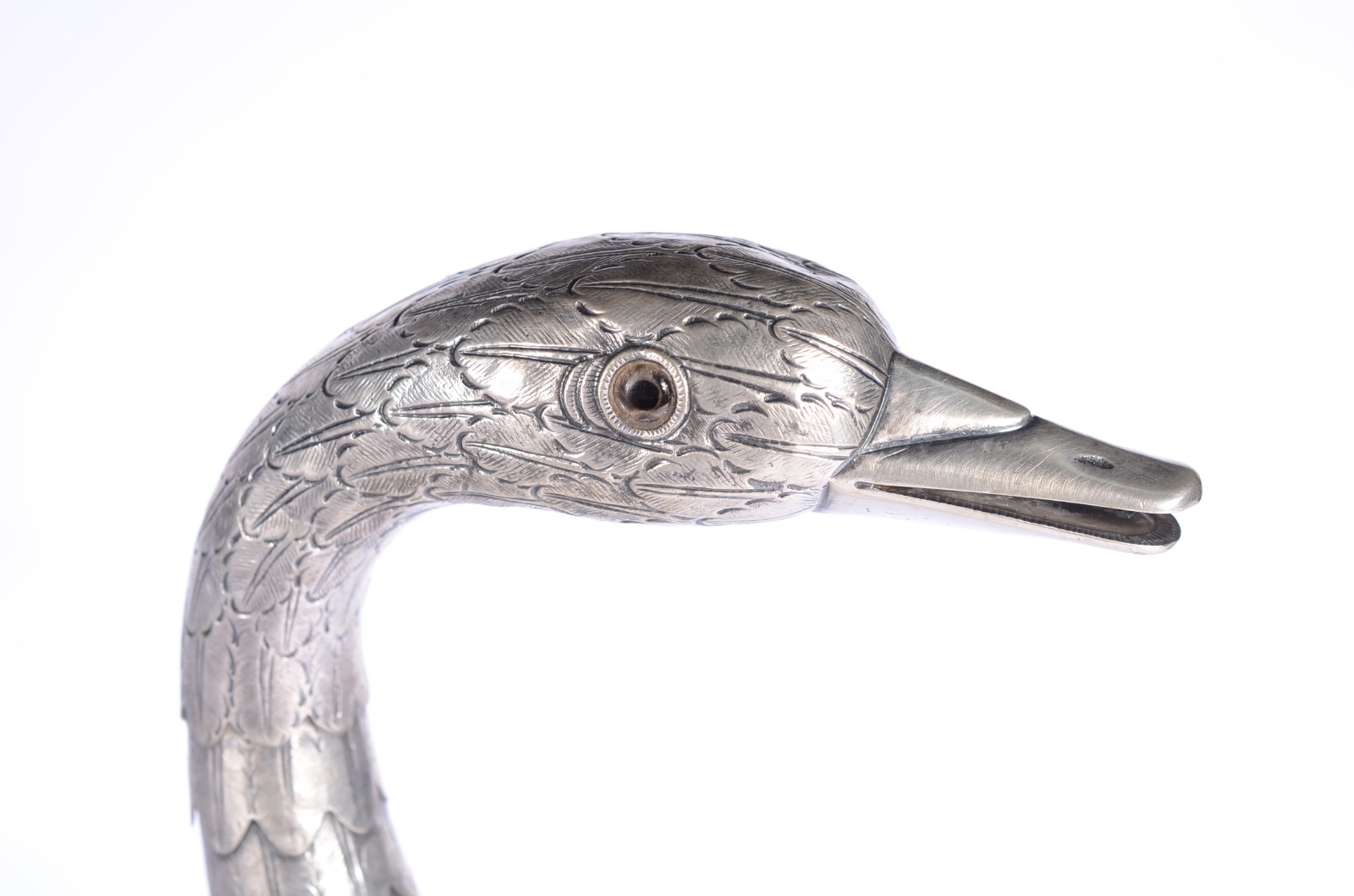 Cisne - foto 5 de 9