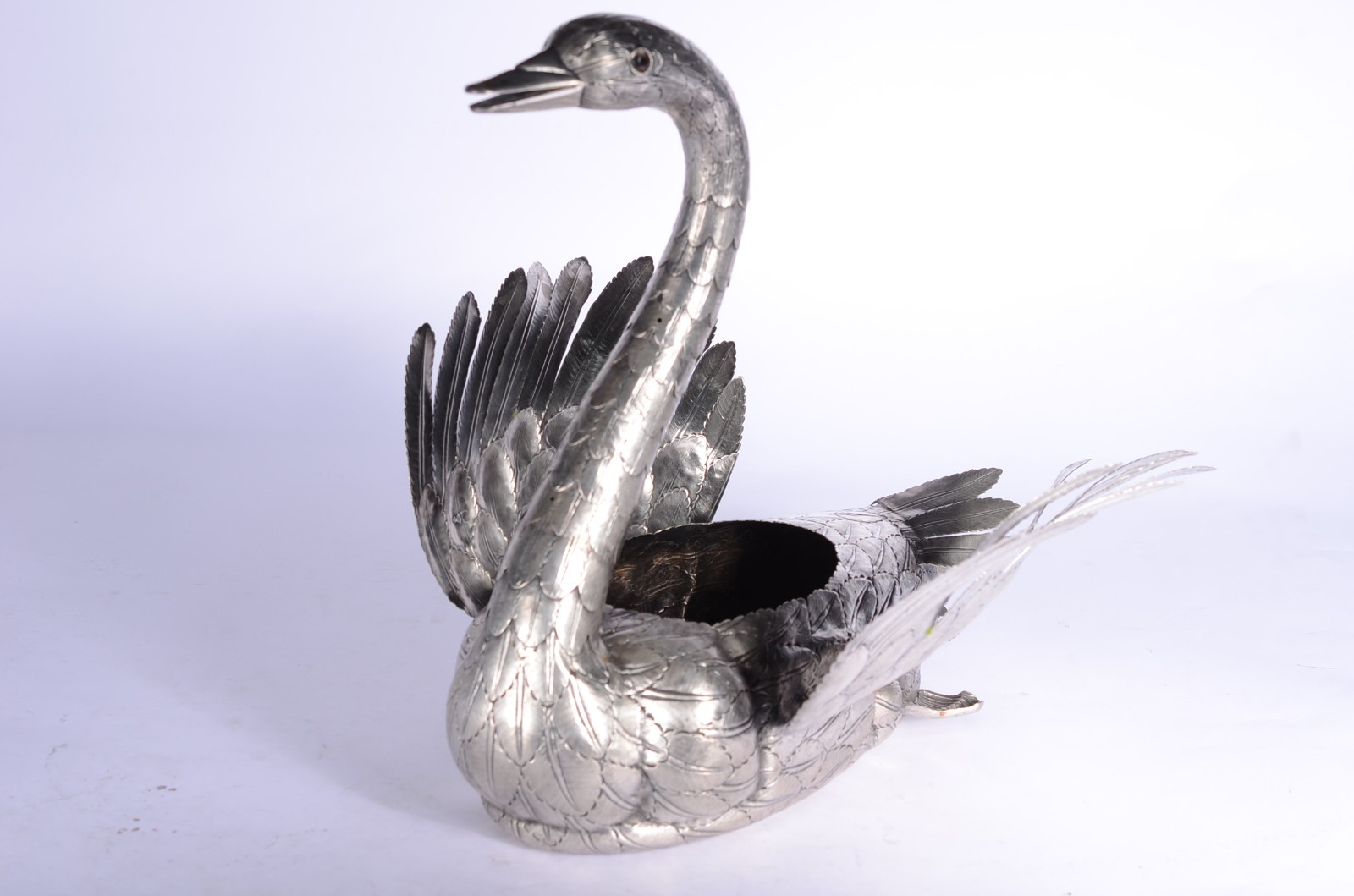 Cisne - foto 6 de 9