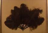 Leque de plumas emoldurado. - Leque de plumas emoldurado.