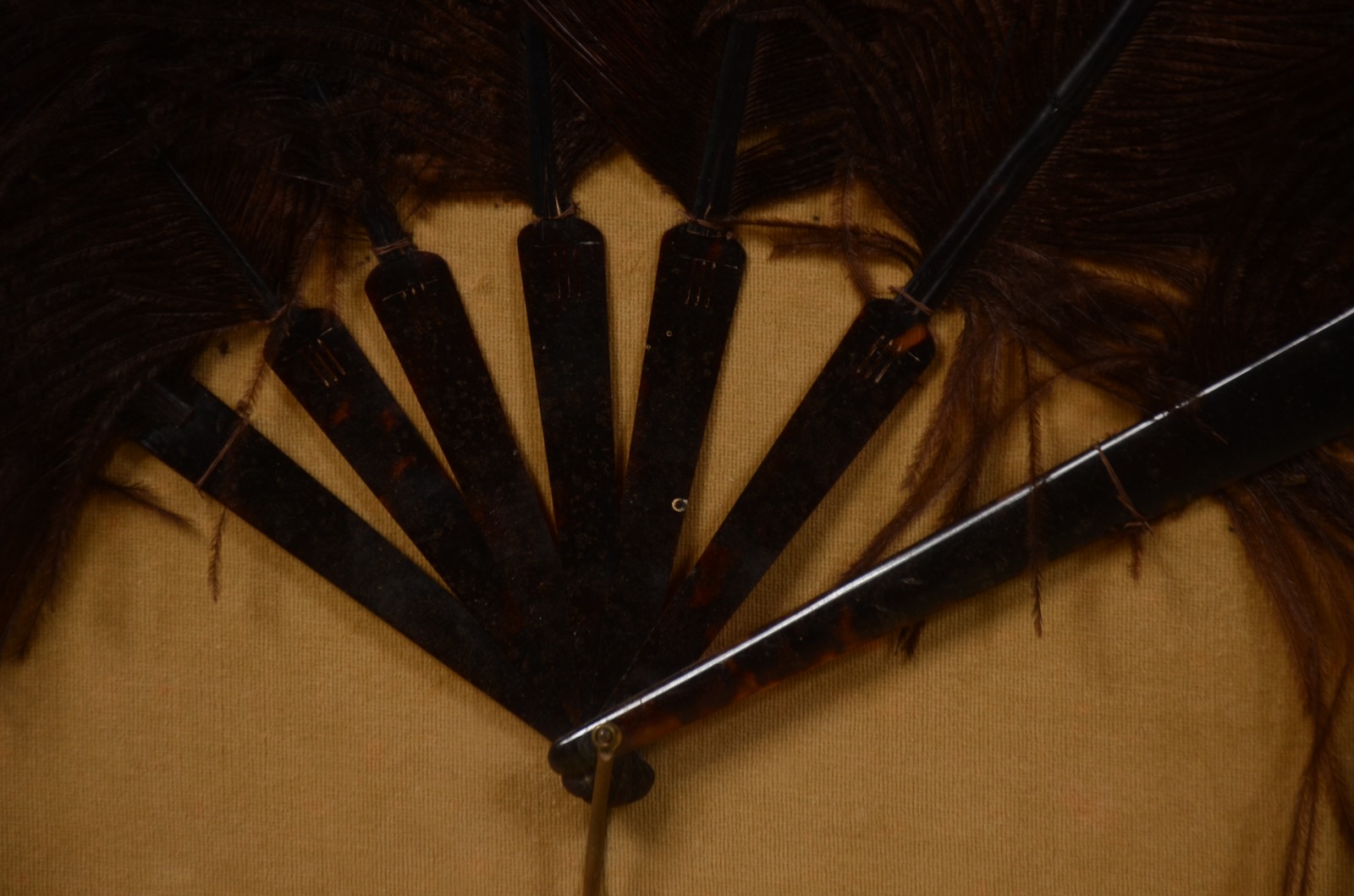 Leque de plumas emoldurado. - foto 2 de 4