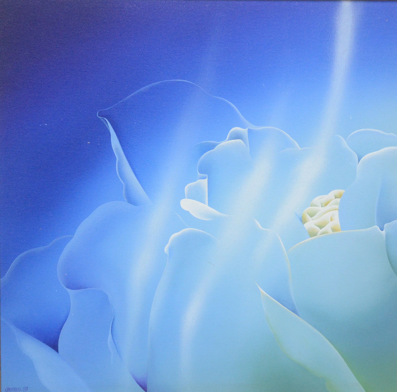 Pietrina Checcacci (1941), Rosa no Azul - foto 1 de 5