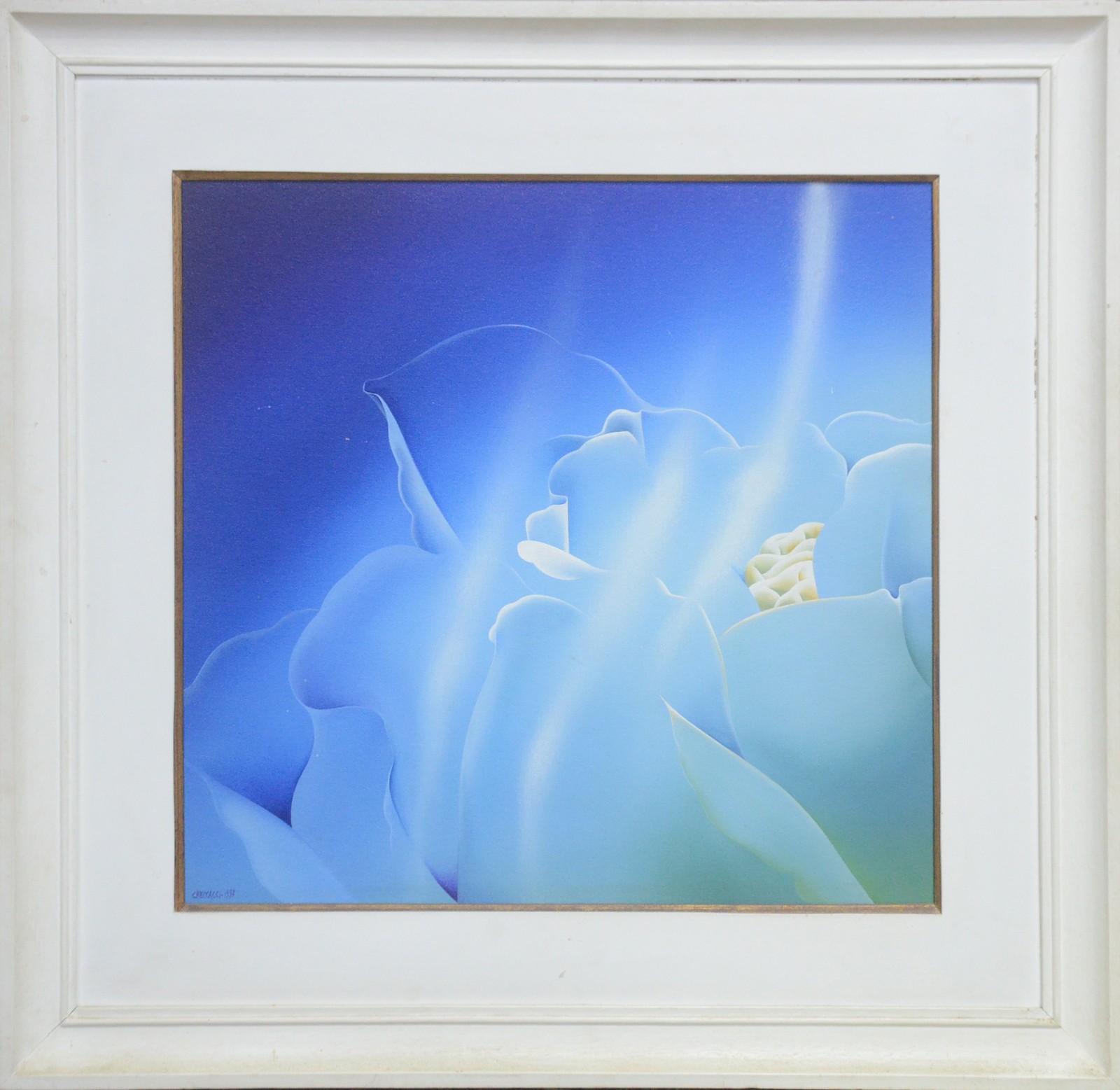 Pietrina Checcacci (1941), Rosa no Azul - foto 2 de 5