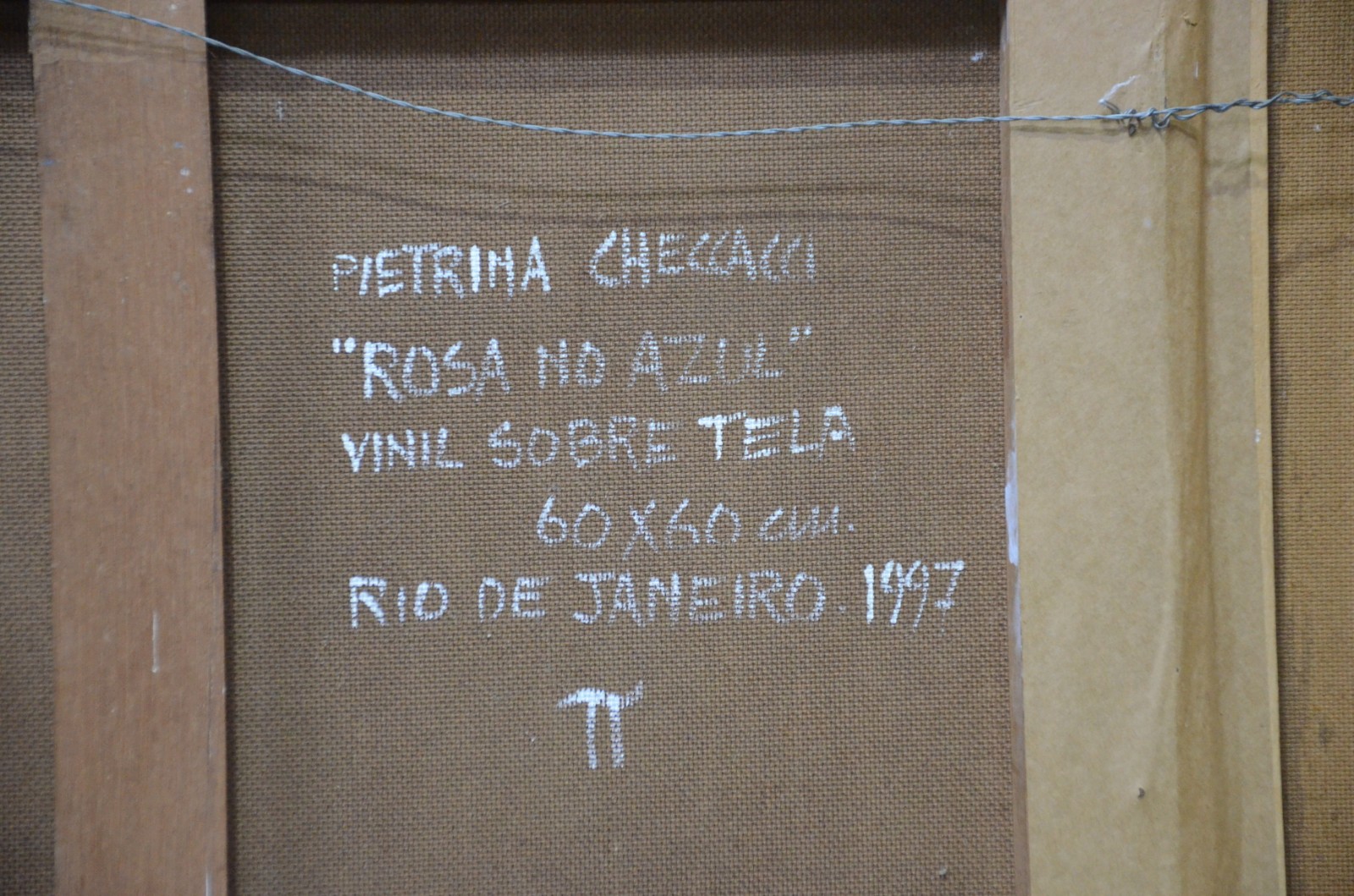 Pietrina Checcacci (1941), Rosa no Azul - foto 5 de 5