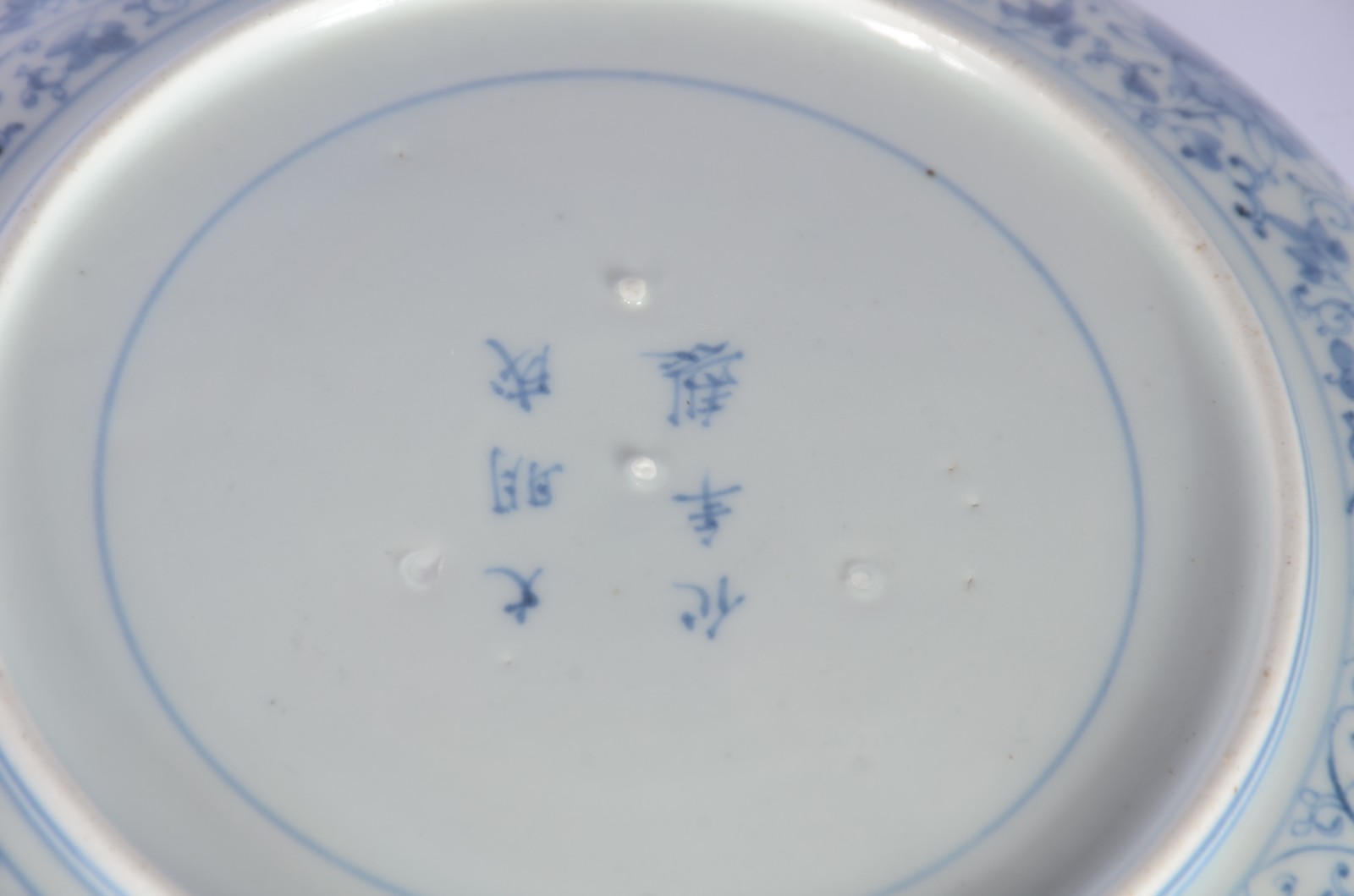 Par de antigos pratos de porcelana chinesa decorados com folhagens em... - foto 5 de 6