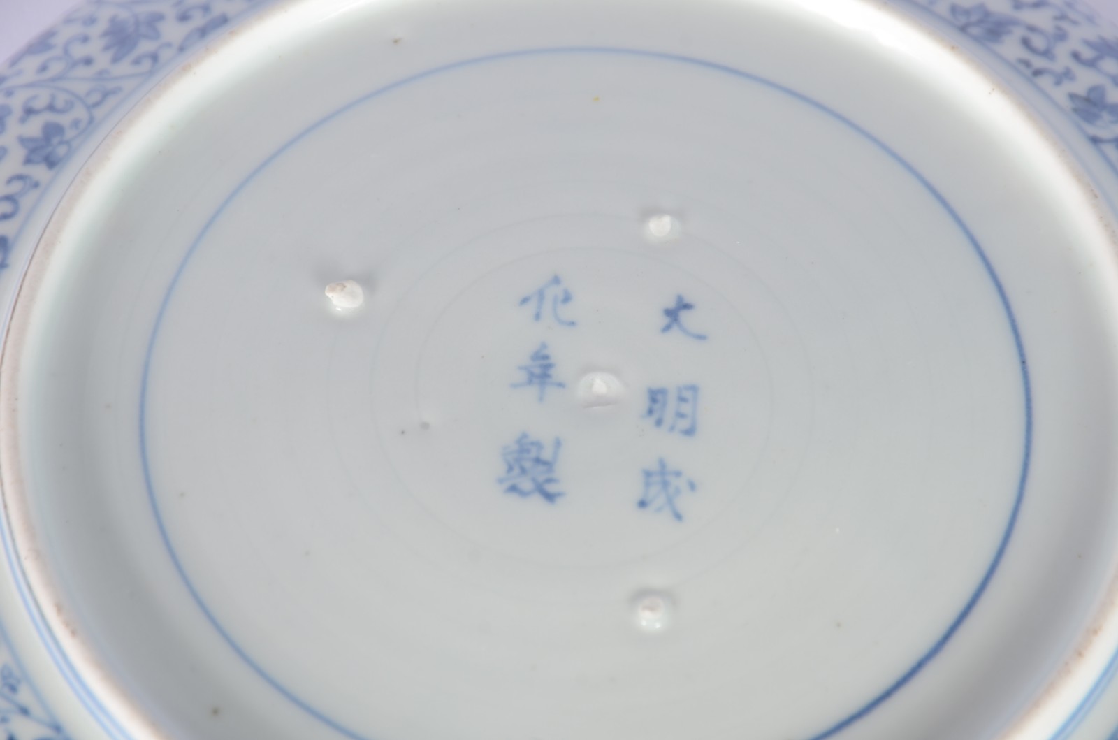 Par de antigos pratos de porcelana chinesa decorados com folhagens em... - foto 6 de 6