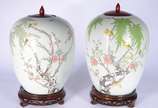 Par de antigos potiches de porcelana chinesa de... - Par de antigos potiches de porcelana chinesa decorados com galhos, folhagens e pássaros em policromia, tampas e bases de madeira.
