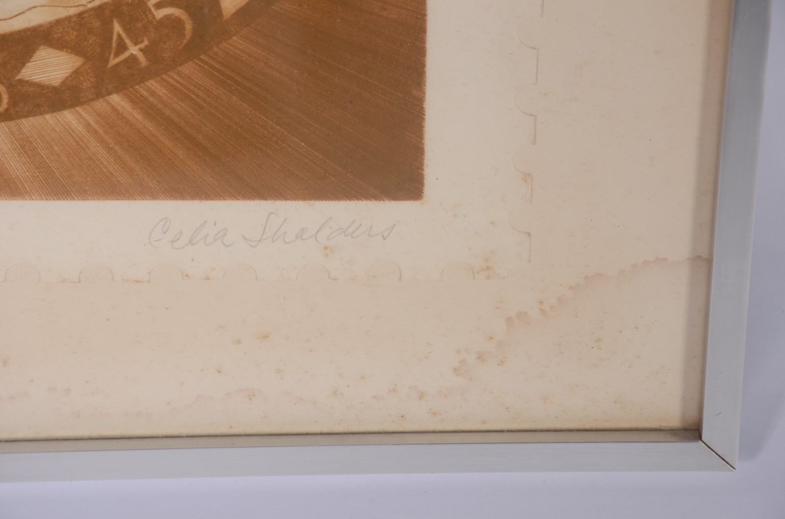 Celia Shalders (1934) - foto 3 de 5