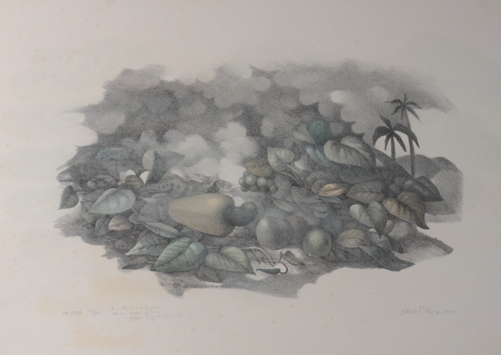 Glauco Rodrigues  (1929-2004), Um Cajú - foto 1 de 5