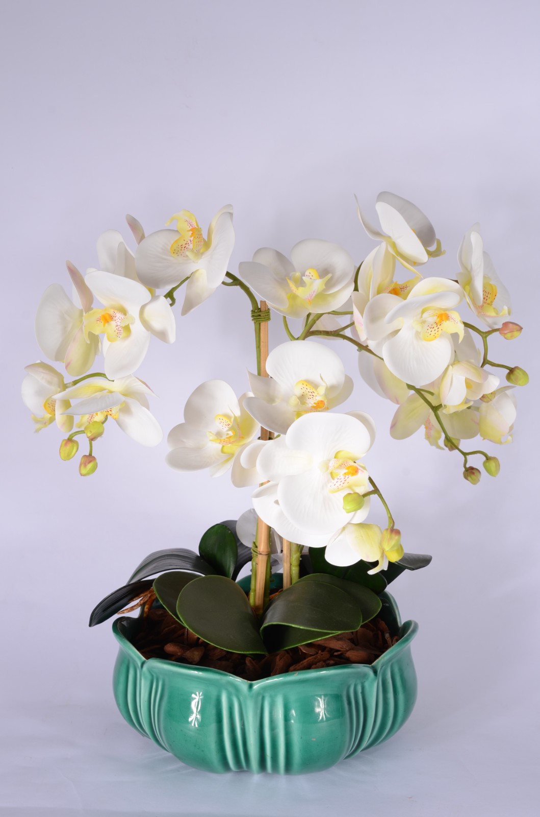 Cachepot de faiança belga com composição de orquídeas permanentes. - foto 2 de 4