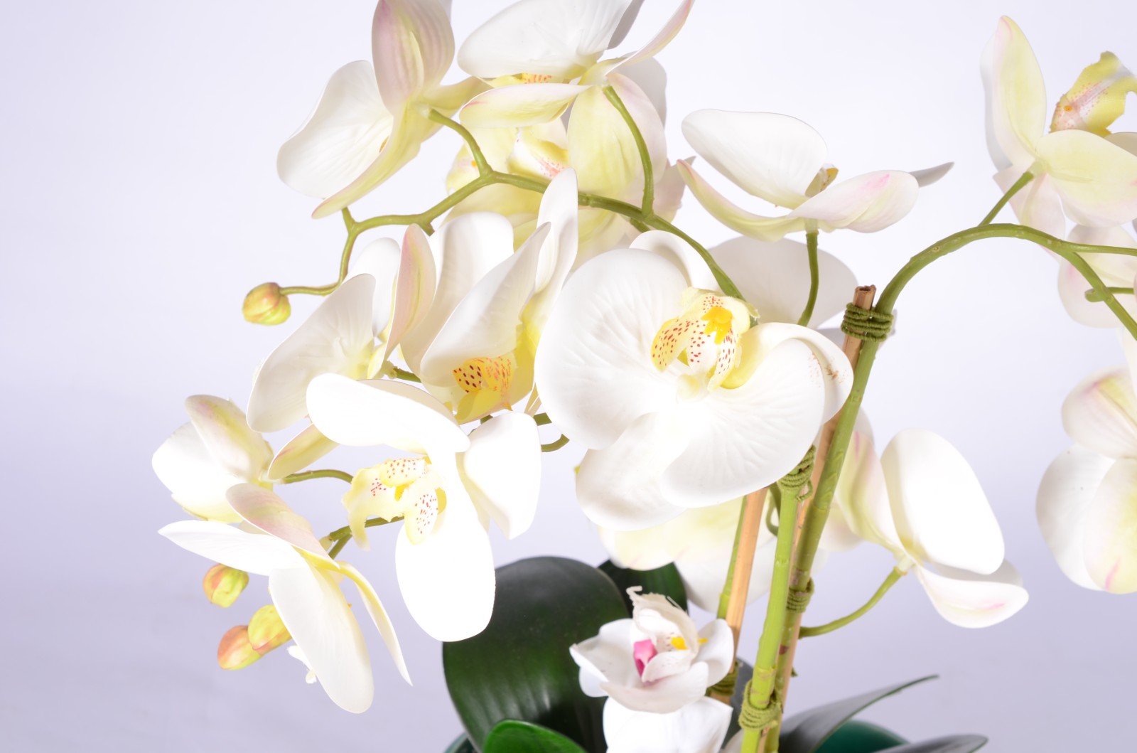 Cachepot de faiança belga com composição de orquídeas permanentes. - foto 3 de 4