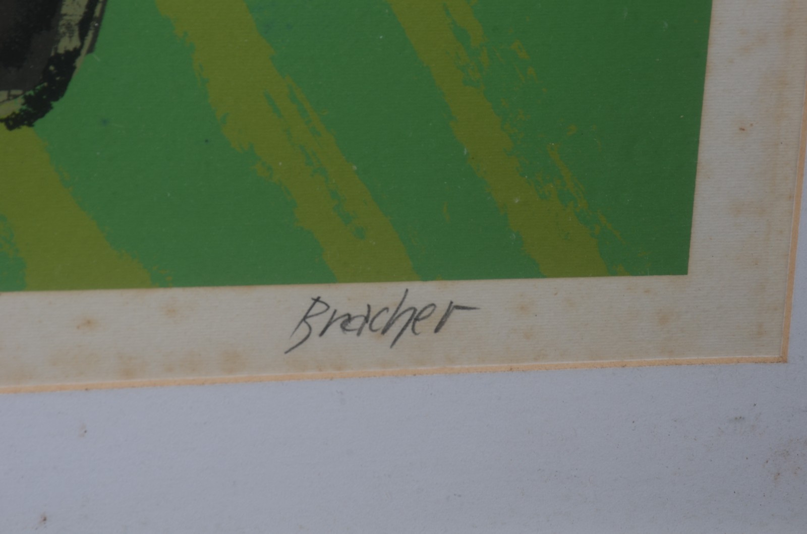 Carlos Bracher (1940) - foto 3 de 8