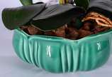 Cachepot de faiança belga com composição de orq... - Cachepot de faiança belga com composição de orquídeas permanentes.