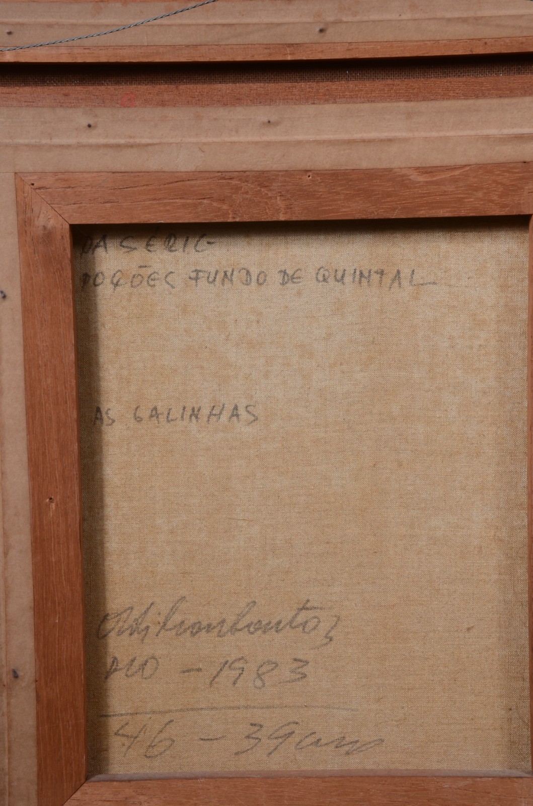 Adilson Santos (1944), As Galinhas - Da série, poções fundo de quintal - foto 5 de 5
