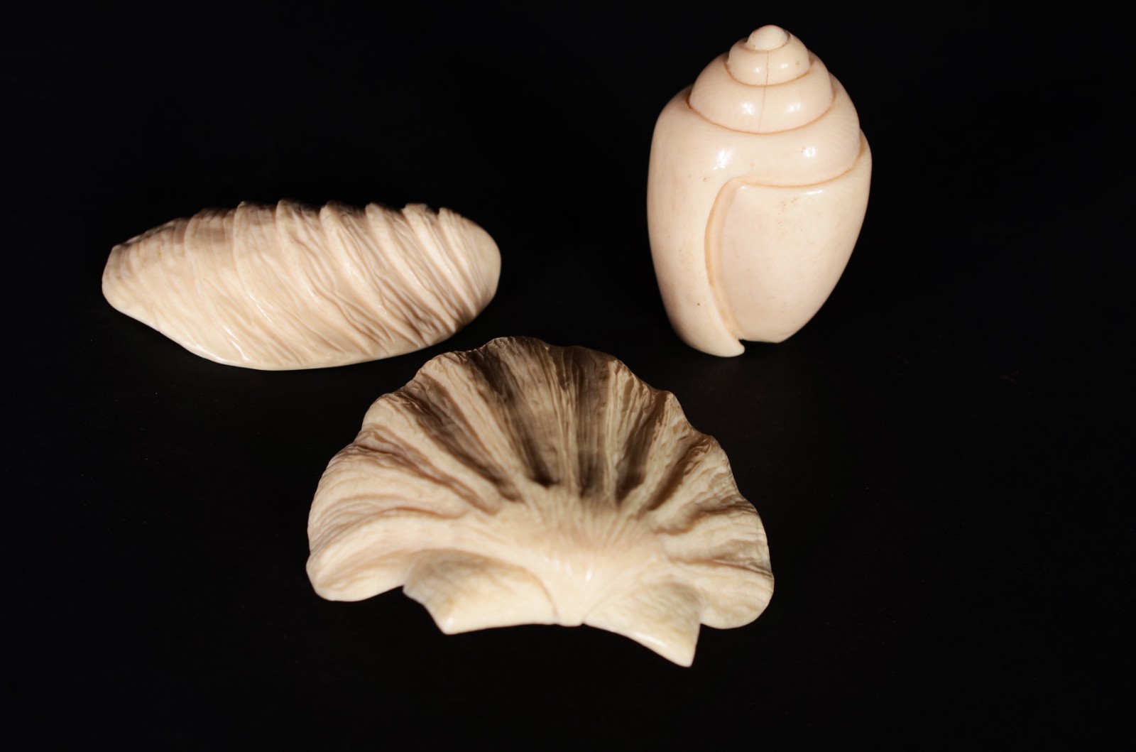 Três enfeites na forma de conchas de marfim. - foto 1 de 10