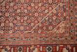 Tapete Tabriz (1101),  - Tapete Tabriz.