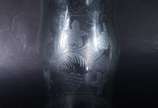 Grande donzela de cristal lapidado. - Grande donzela de cristal lapidado.