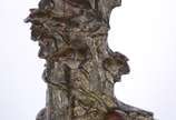 J. Garnier (1853-1910),  - Escultura de bronze francês representando menino na fonte.