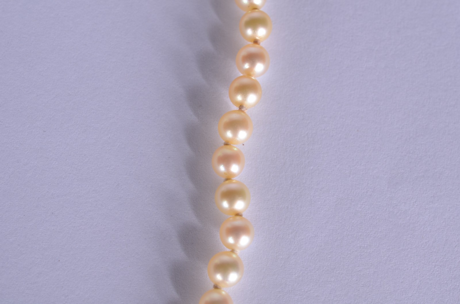 Colar de perolas com fecho de ouro 18 k. (Por motivos de segurança a... - foto 4 de 5