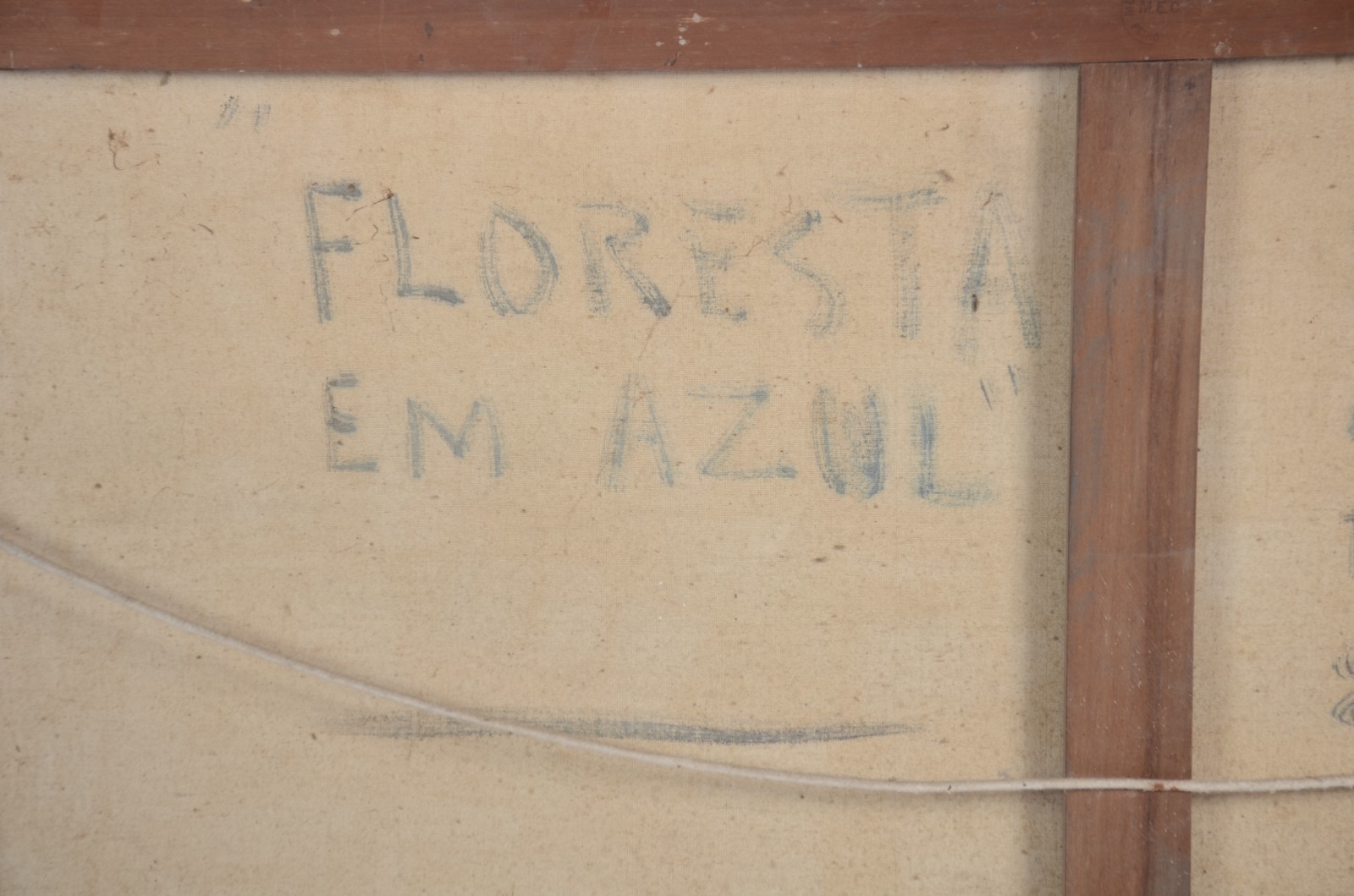 Benjamin Silva (1927), Floresta Azul - foto 6 de 6