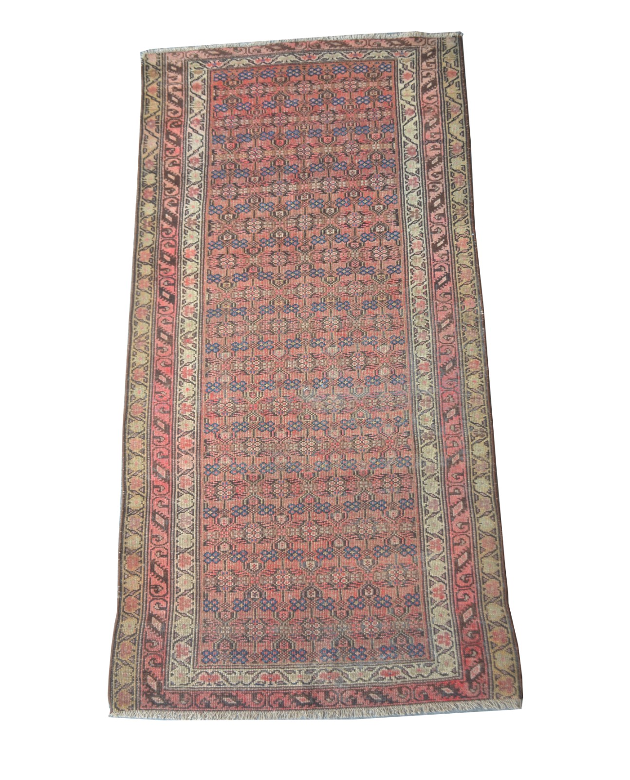 Tapete Farahan (1801) - foto 1 de 7