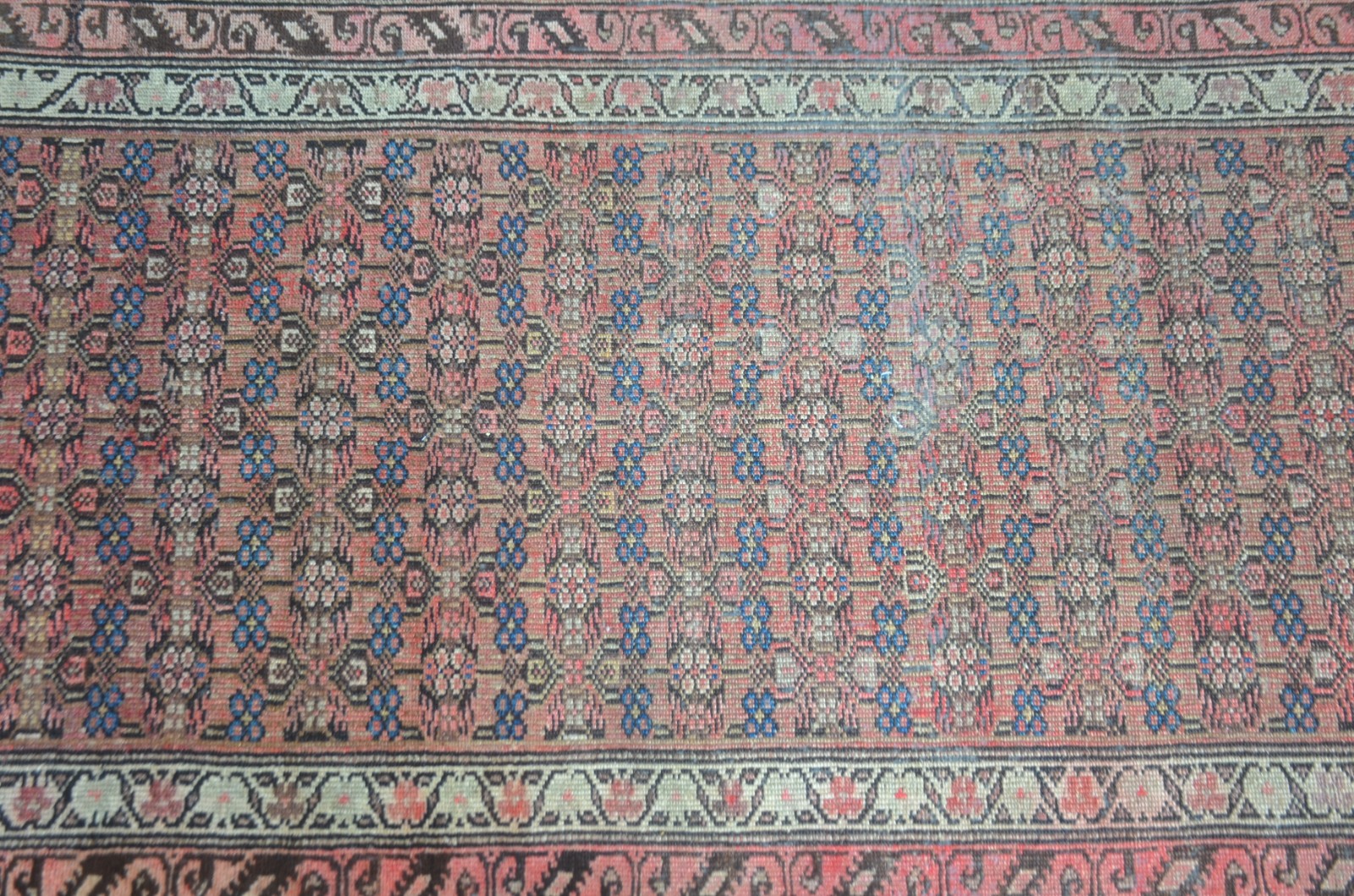Tapete Farahan (1801) - foto 2 de 7