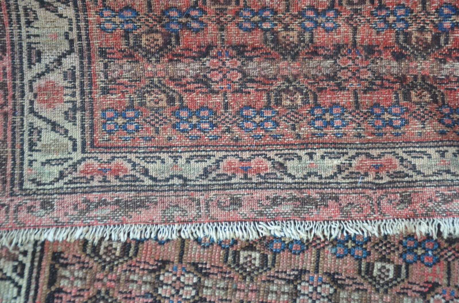 Tapete Farahan (1801) - foto 7 de 7