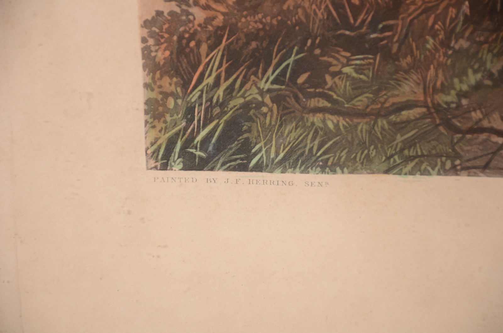 Fox Hunting - Plate 1 - The meet - foto 5 de 10
