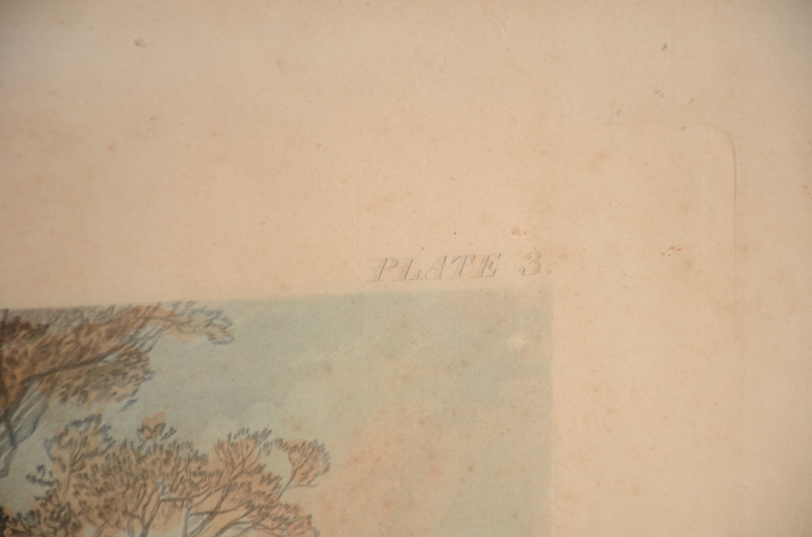 Fox Hunting - Plate 1 - The meet - foto 8 de 10
