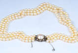 Colar pérolas tres voltas ( Mikimoto) com fecho... - Colar pérolas tres voltas ( Mikimoto) com fecho em ouro branco e brilhantes