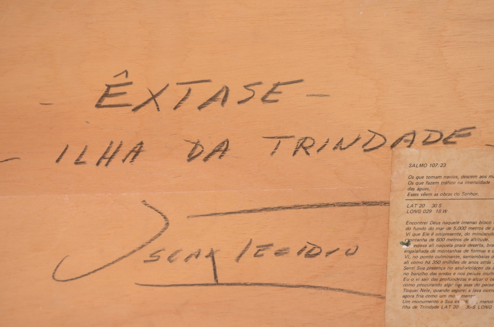 Oscar Tecídio (1926-1995), Extase - foto 5 de 5