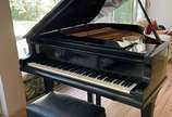 AUGUST FORSTER,  - Piano alemão 1/4 de cauda em lacca preta. Algumas teclas "prendendo", e pequenos desgastes. Retirada em casa na Barra - RJ.